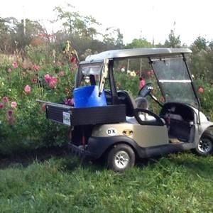 Meet your Posher, Tove